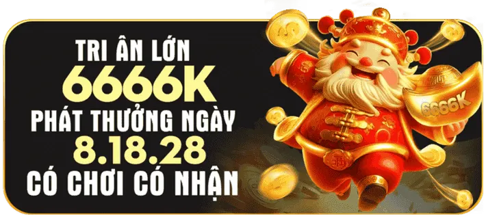 Tổng quan nền tảng newba5 chính thức