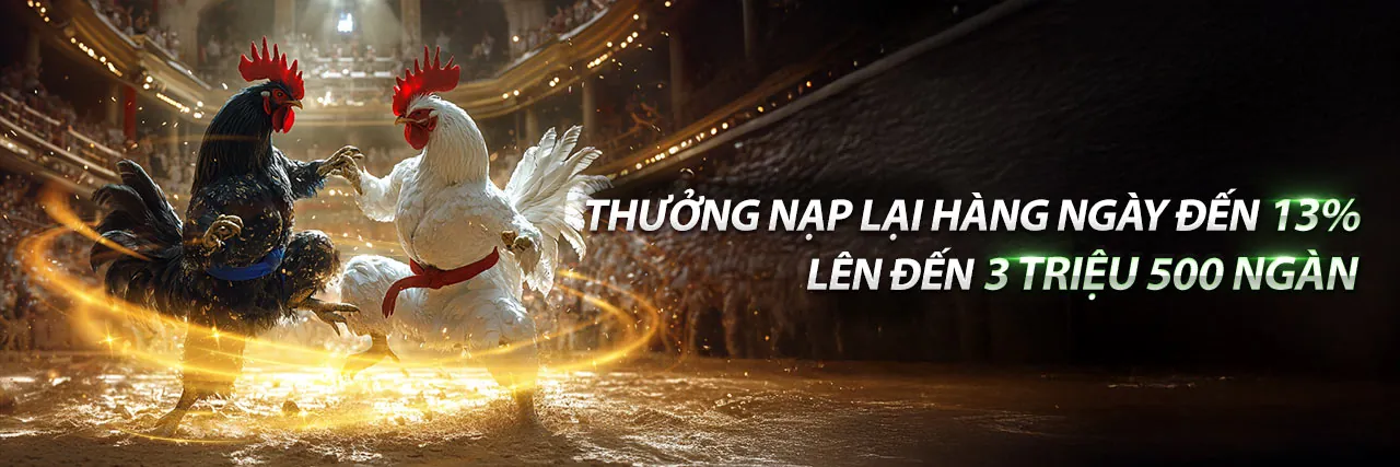 Sảnh casino trực tuyến sang trọng của newba5 chính thức