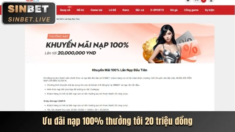 Ưu Đãi & Khuyến Mãi newba5 chính thức